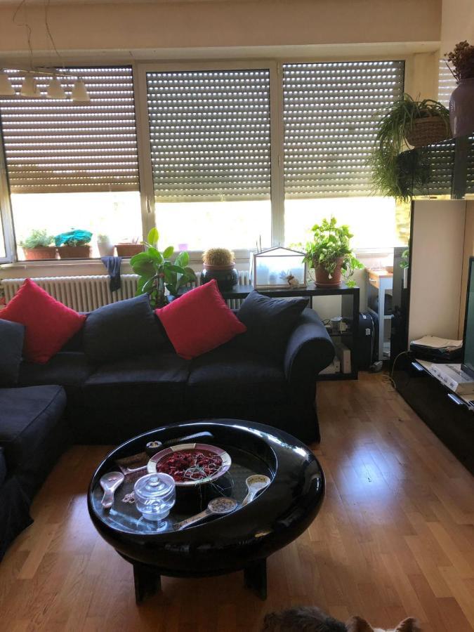Baci Da Roma Apartment ภายนอก รูปภาพ